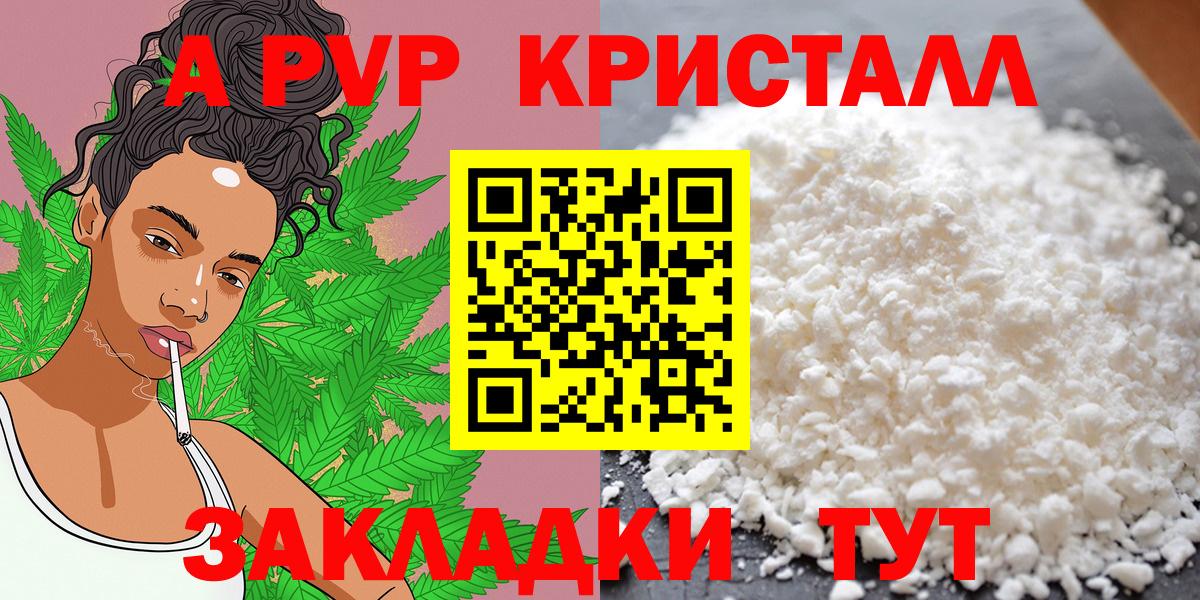 Alfa_PVP СК Горно-Алтайск