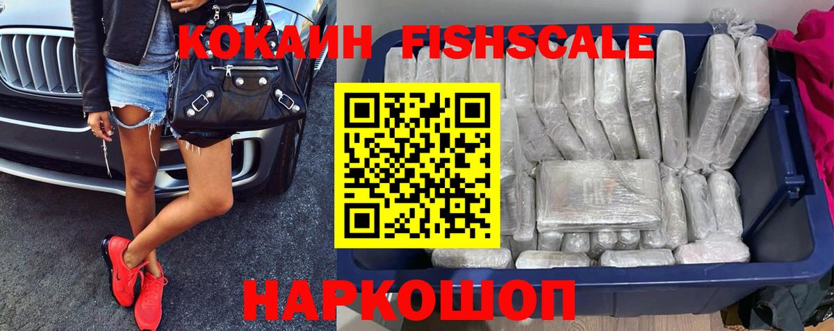 где купить   Горно-Алтайск  КОКАИН Эквадор  COCAIN FishScale 
