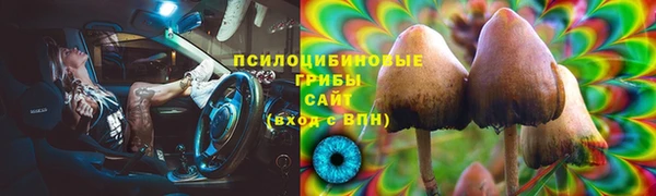 ALPHA PVP Белокуриха