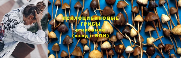 метадон Беломорск