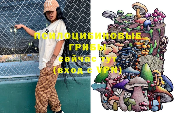 PSILOCYBIN Тихорецк