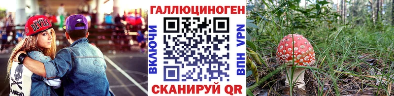 Псилоцибиновые грибы прущие грибы  Горно-Алтайск 