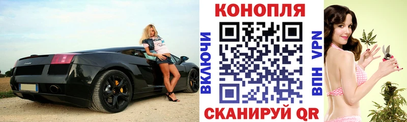 Марихуана план  ссылка на мегу   Горно-Алтайск  продажа наркотиков 