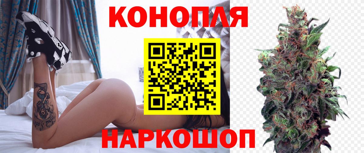 Каннабис марихуана  Бошки Шишки сатива  Бошки Шишки план  Горно-Алтайск  Вход с VPN 